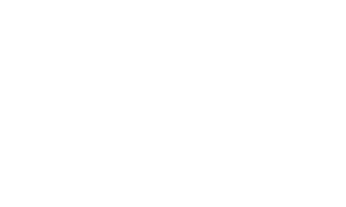 Auvik